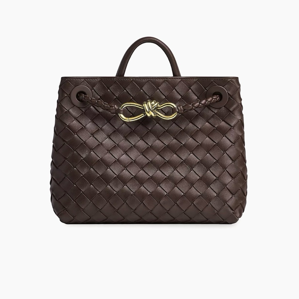 Bottega Veneta Small Andiamo- Fondant